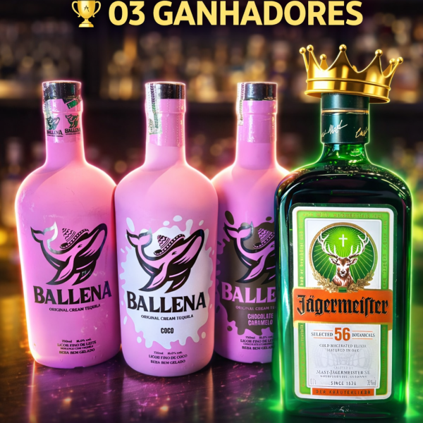 🚨 SORTEIO IMPERDÍVEL – 03 GANHADORES 🚨